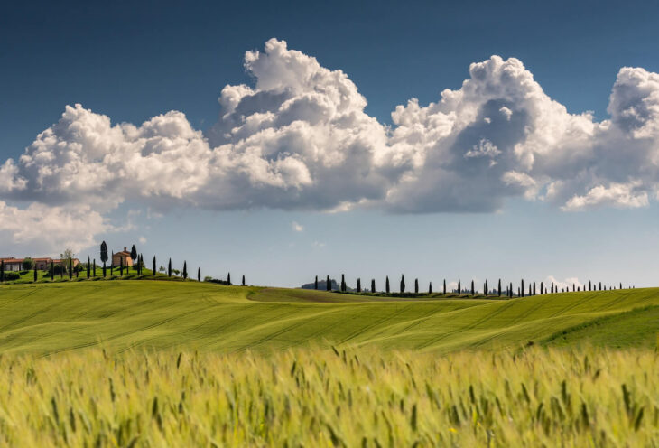 Toscana e Cinque Terre